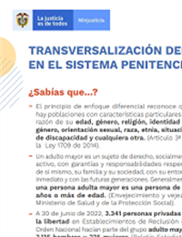 TRANSVERSALIZACIÓN DEL ENFOQUE DIFERENCIAL EN EL SISTEMA PENITENCIARIO Y CARCELARIO